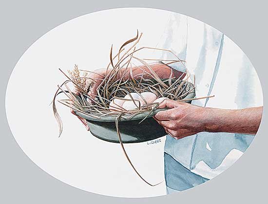 #32.1 ~ Gibbs - Gathering Eggs
