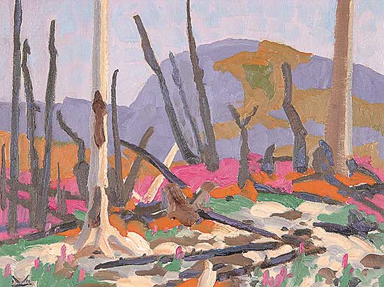 #54 ~ Kerr - White Rock and Fireweed, Storm Mountain