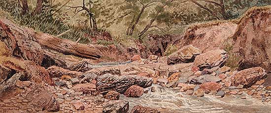 #73 ~ Martin - Untitled - Forest Stream