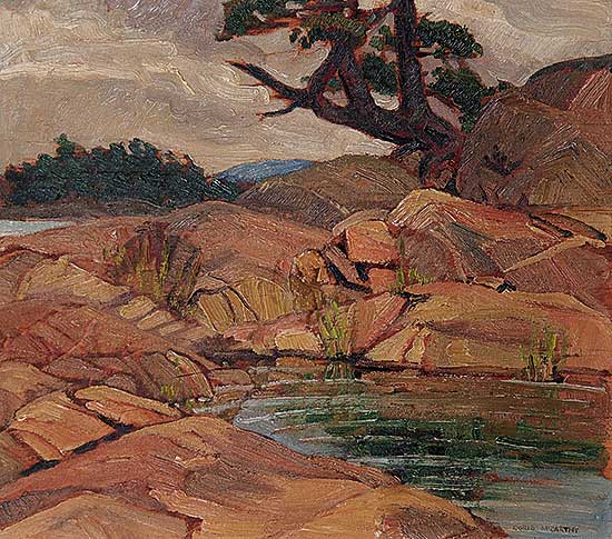 #76 ~ McCarthy - Rock Puddle below the Pine, Baie Fine