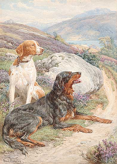 #204 ~ Bradley - Untitled - Gordon Setter and Pointer