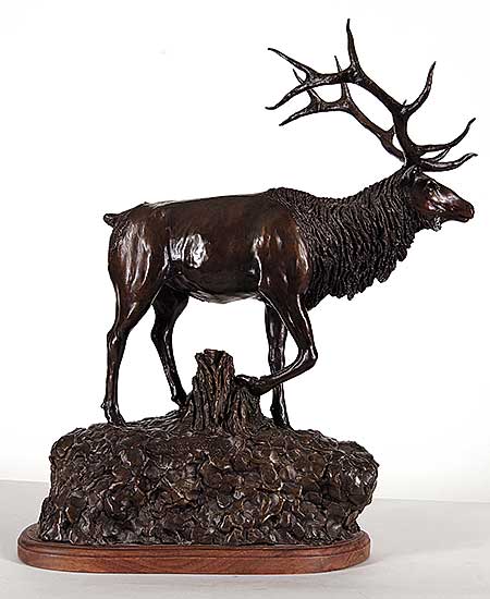 #212 ~ Morin - Wapiti  #2/30