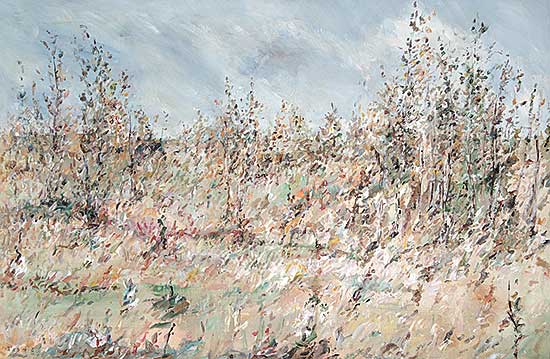 #303 ~ Bres - Aspen Bushes near Chip Lake