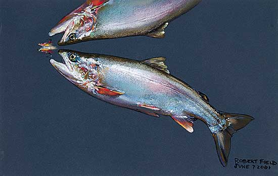 #449 ~ Field - June 7, 2001 [Salmon and Fly]