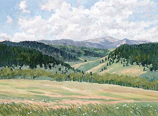 #499 ~ Mercer - Valley Shadows