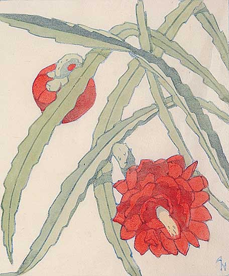 #526 ~ Newton - Cactus  #21/50