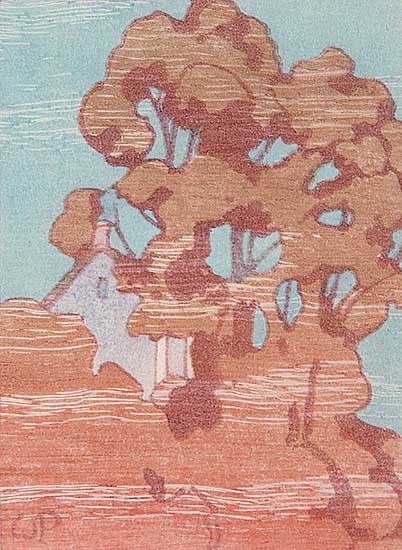 #534 ~ Phillips - Oak