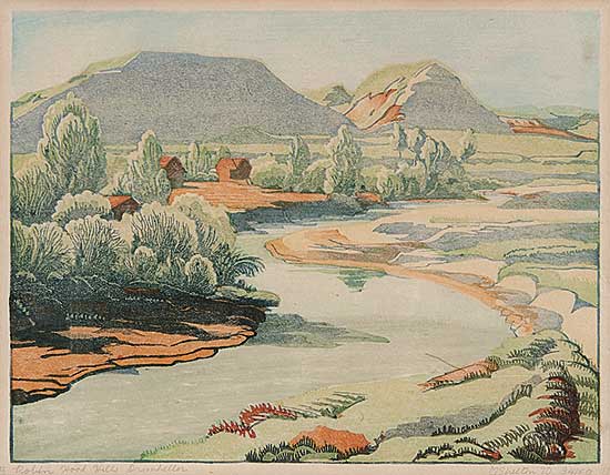 #559 ~ Shelton - Robin Hood Hills, Drumheller  #34/50
