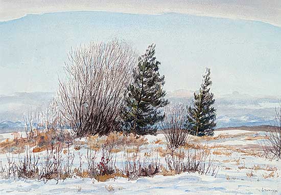 #587 ~ Turner - Untitled - Chinook Arch