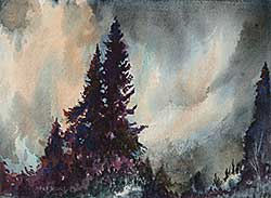 #548 ~ Secord - Untitled - Spruce and Threatening Sky
