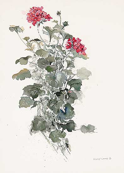 #16 ~ Bobak - Geraniums