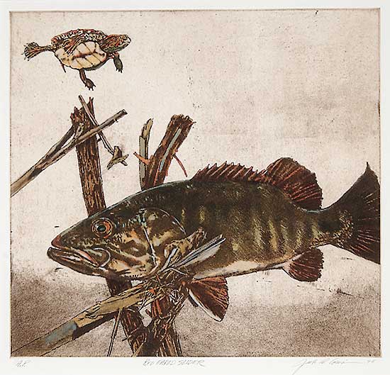 #33 ~ Cowin - Red Eared Slider  #A.P.