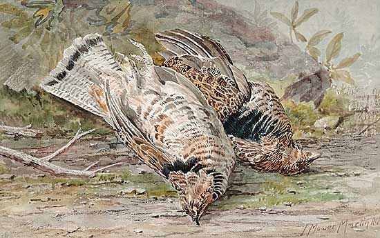 #84 ~ Martin - Untitled - A Brace of Grouse