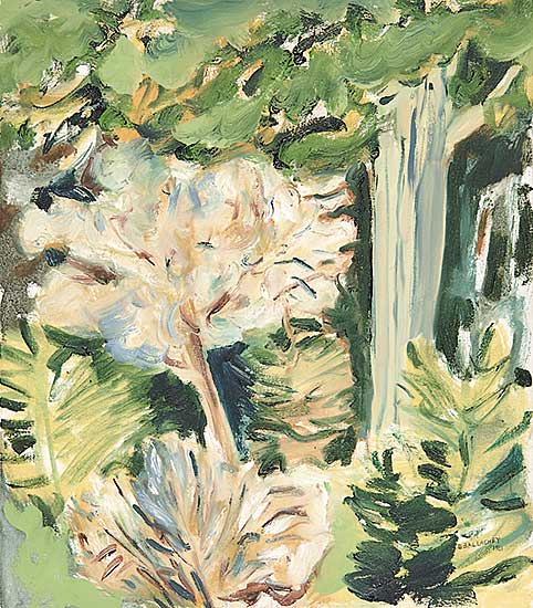 #301 ~ Ballachey - Forest #3