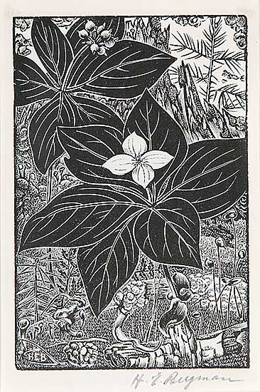 #422 ~ Bergman - Untitled - Dogwood