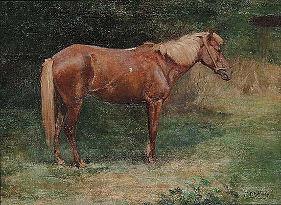 #475 ~ Haig - Untitled - Pinto