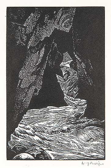 #561 ~ Phillips - The Source of the Bow