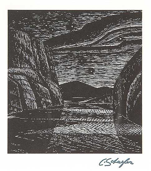 #587 ~ Schaefer - Northern Night Pickerel River