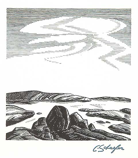 #588 ~ Schaefer - Rocks, Pickerel River