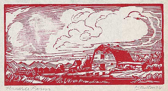 #607 ~ Shelton - Prairie Farm