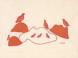 #494 ~ Inuit - Seagulls  #39/50