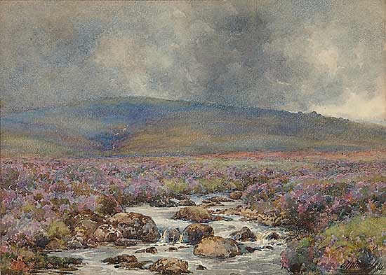 #79 ~ Manly - Untitled - Highland Stream