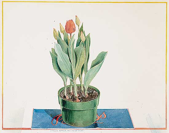 #315 ~ Roberts - Bass Ale and Tulips