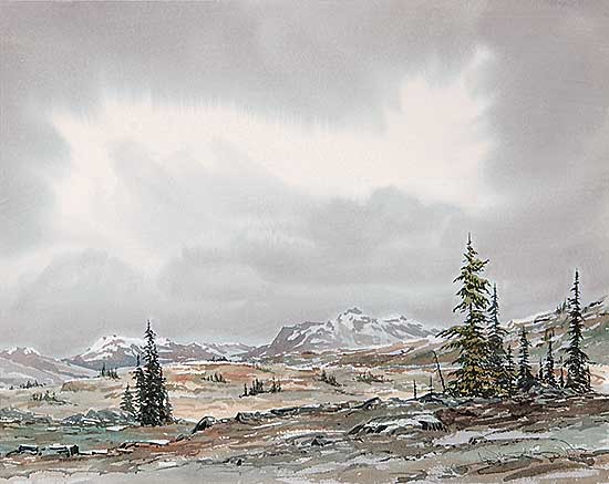 #417 ~ Camping - Open Meadows [at Healy Creek near Sunshine]