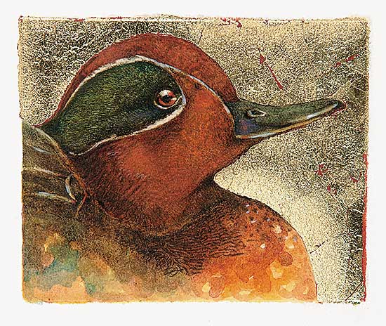 #423 ~ Cowin - Green-Winged Teal Drake