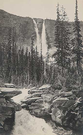 #492 ~ Harmon - Twin Falls