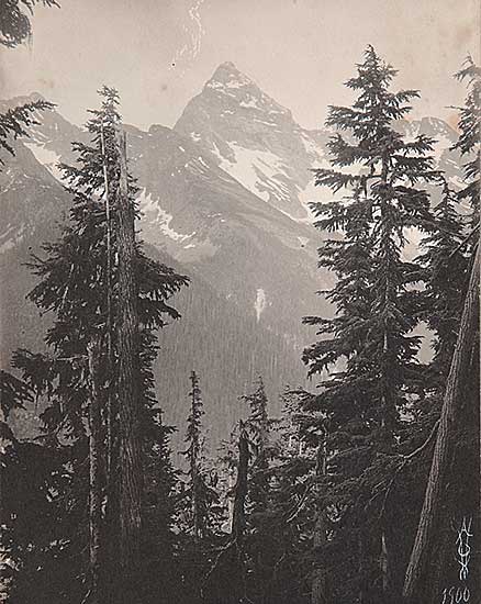 #495 ~ Vaux - Untitled - High Alpine View