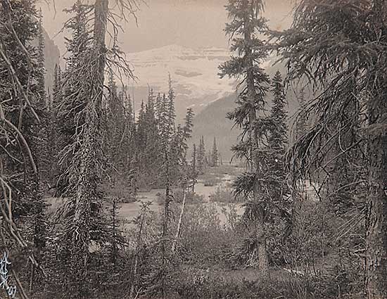 #498 ~ Vaux - Untitled - Glacier Fed Stream