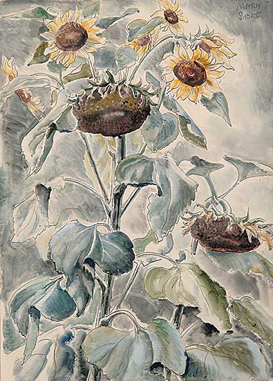 #546 ~ Short - Sunflowers