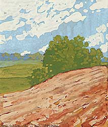 #59 ~ Johnston - Ploughed Field #59 ~ Johnston - Ploughed Field