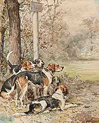 #222 ~ Penne - Untitled - About to Start