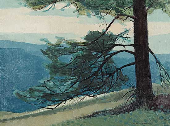 #24 ~ Collier - Above Kettle River, near Grand Forks, B.C.