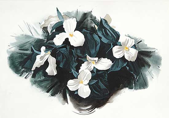 #25 ~ Comfort - Trilliums