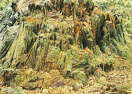 #72 ~ Lindner - Untitled - Stump
