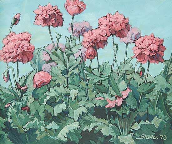 #109.1 ~ Shelton - Peonie Poppies