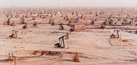 #304 ~ Burtynsky - Oilfields #1, Belridge, California