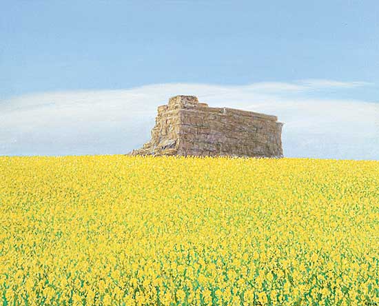 #349 ~ Voyer - Prairie Architecture