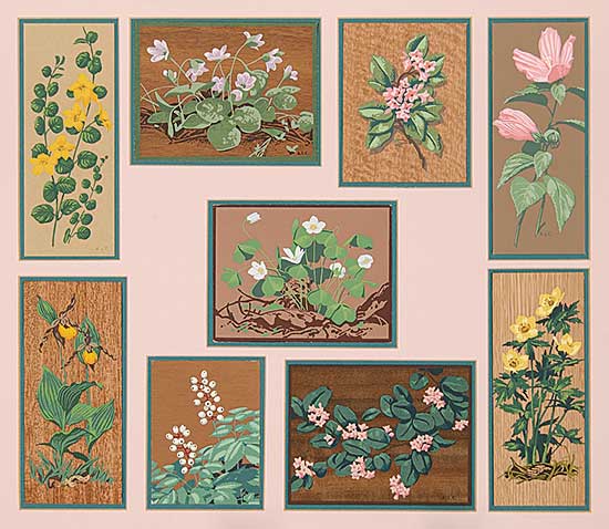 #411 ~ Casson - Untitled - Nine Various Flowers