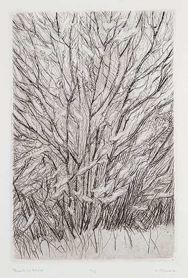 #465 ~ Mackie - Bush in Snow  #3/8