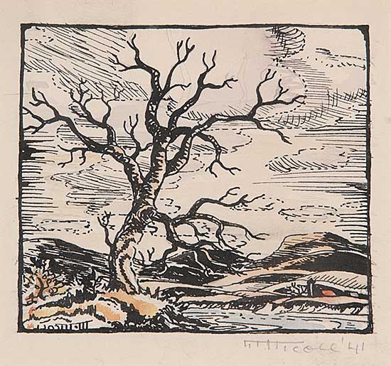 #484 ~ Nicoll - Untitled - The Old Tree
