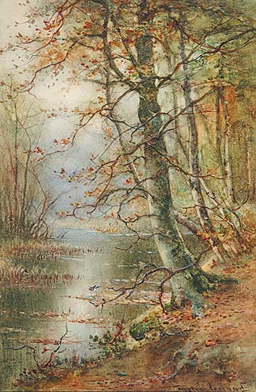 #638 ~ Ireland - Untitled - Tranquil Fall Day