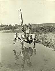#244 ~ Pollard - Chief Duck, Blackfoot, c.1912
