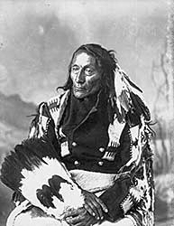 #247 ~ Pollard - Chief Bobtail, Plains Cree