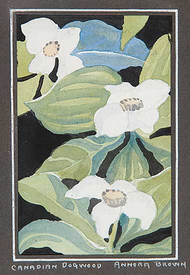 #15 ~ Brown - Canadian Dogwood