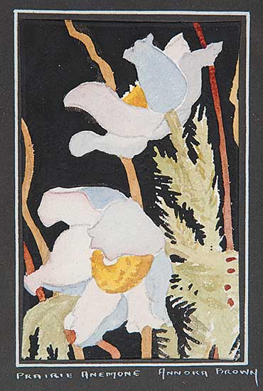 #16 ~ Brown - Prairie Anemone
