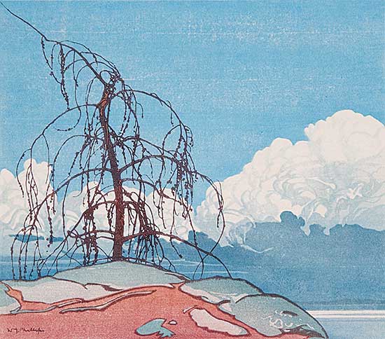 #89 ~ Phillips - Jack Pine  #62/100